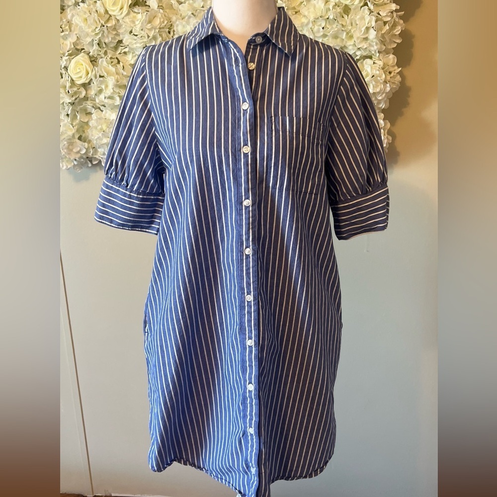 Old Navy Blue Striped Button Down Mini Dress